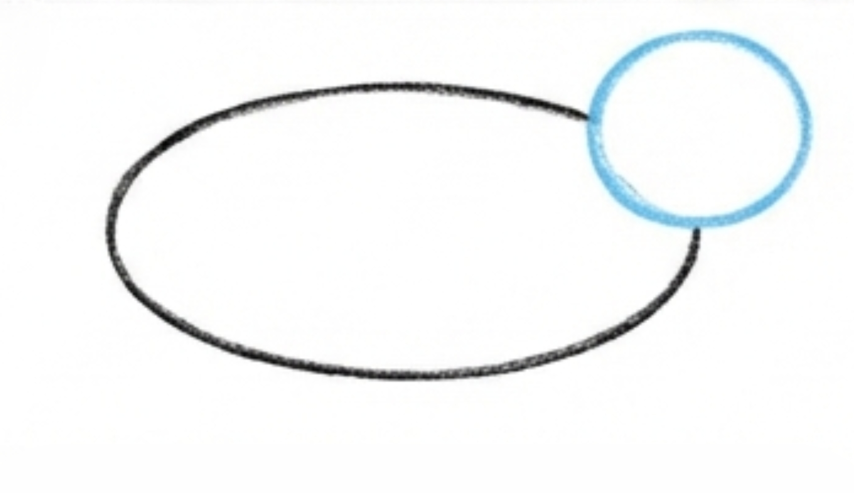 How to Draw a Bobcat Body Step by Step for Beginners