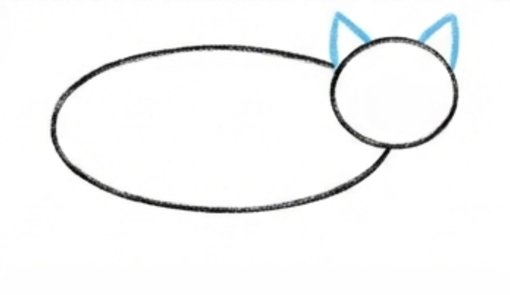How to Draw a Bobcat Body Step by Step for Beginners