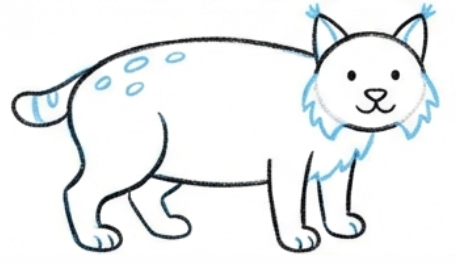 How to Draw a Bobcat Body Step by Step for Beginners