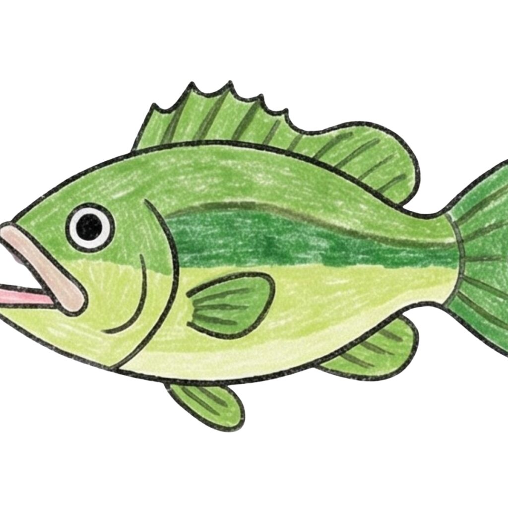 Fish Drawing Ideas for Beginners and Kids
