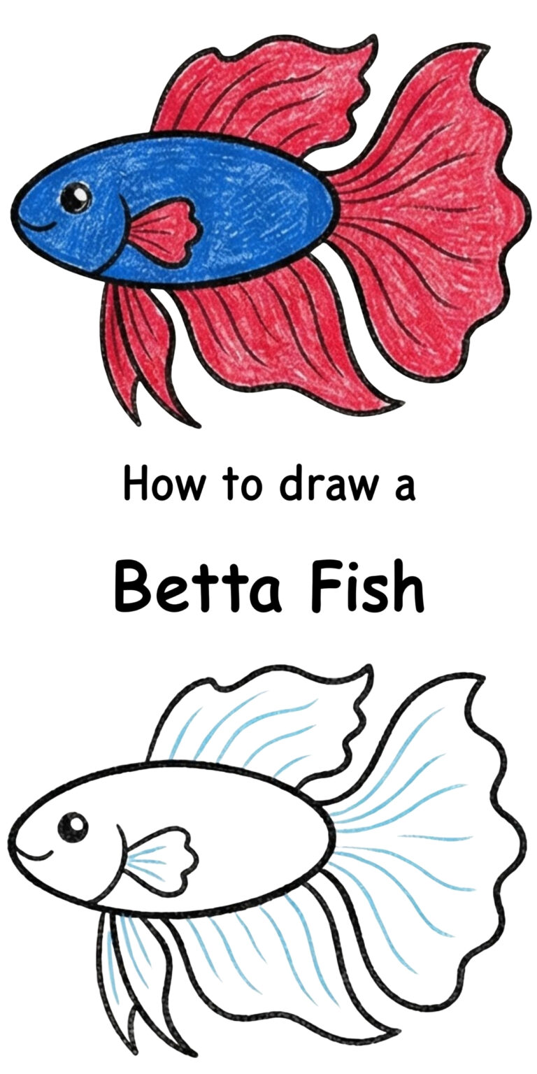 How to Draw a Betta Fish: Flowing Masterpiece Step by Step