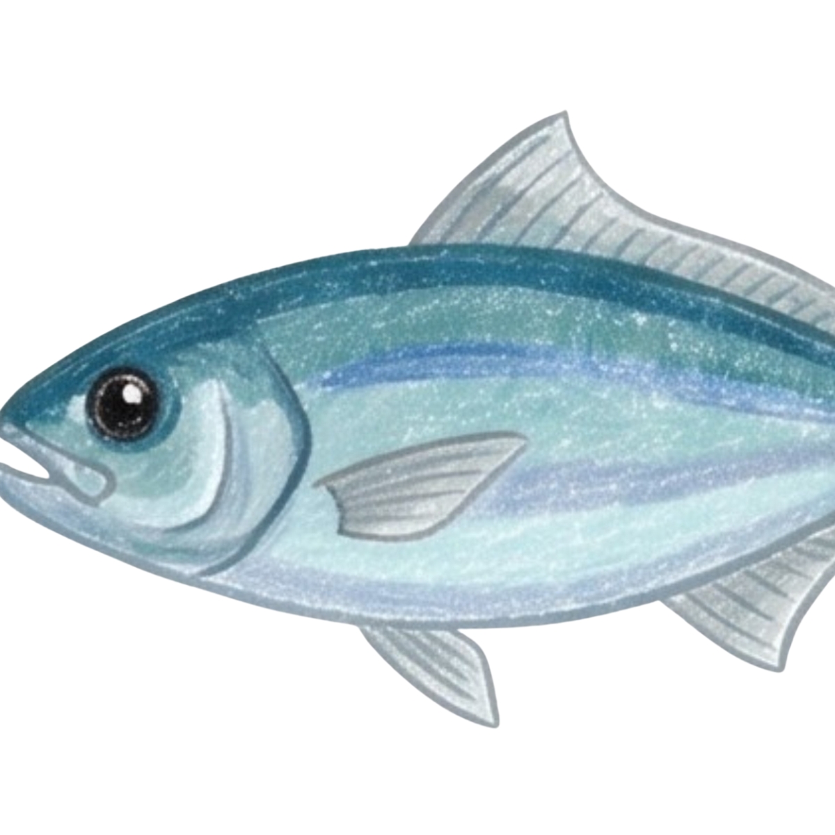 Smartdraw Fish How to draw a Realistic Fish step by step