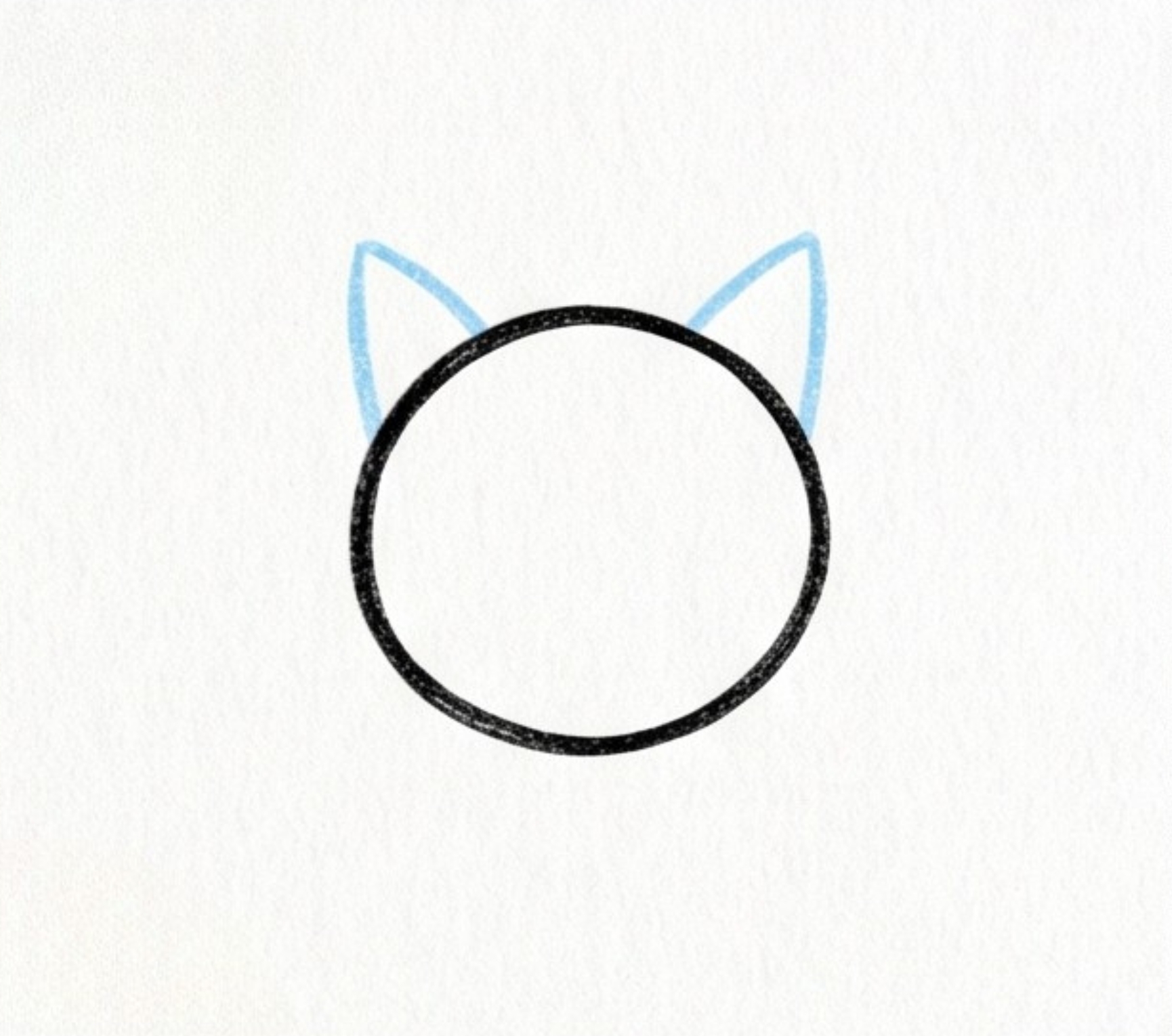 Cat Drawing Tutorial: Easy Step-by-Step Cute Cat Sketch