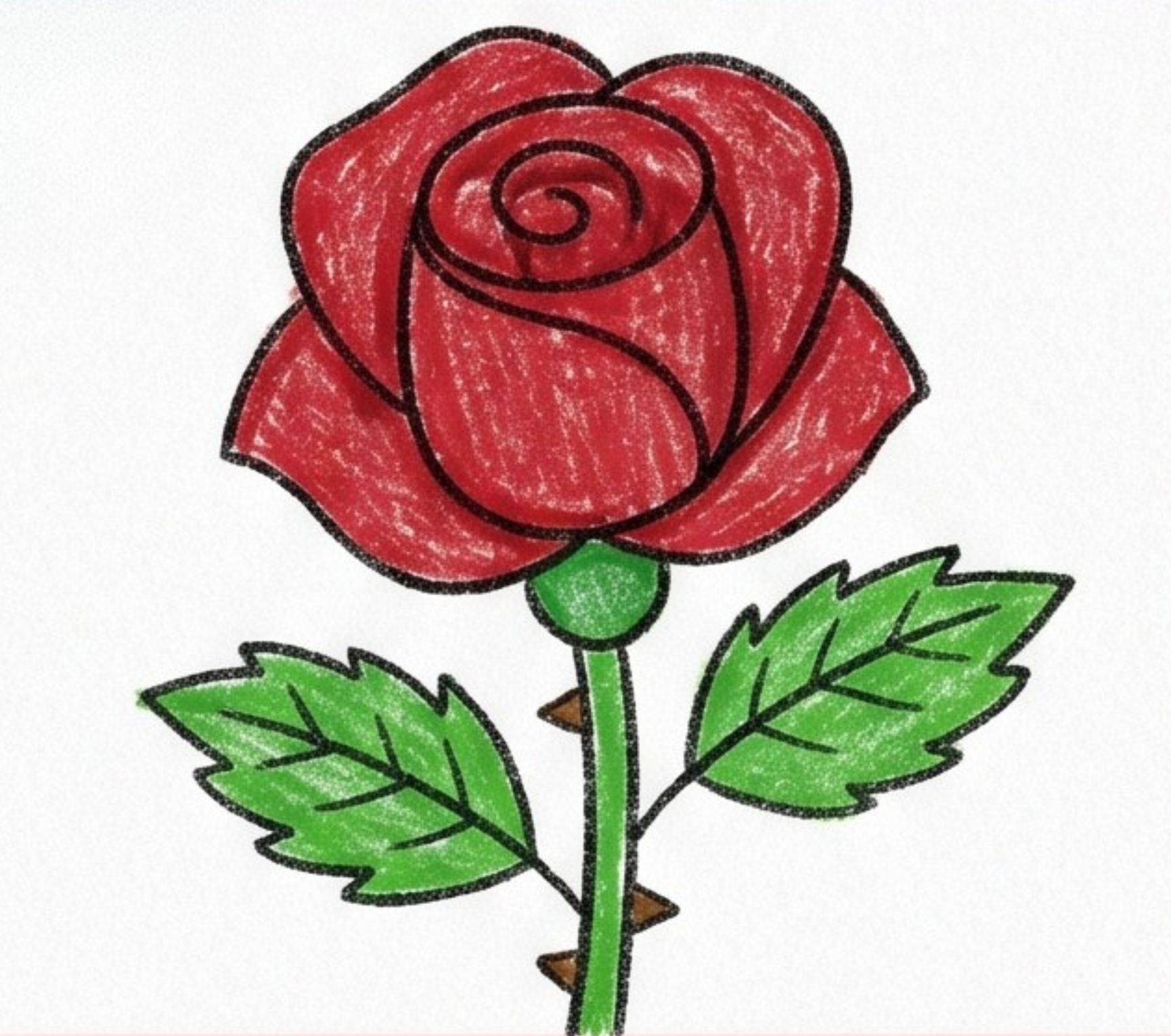 Rose Drawing Tutorial: Create a Bold Bloom Step by Step