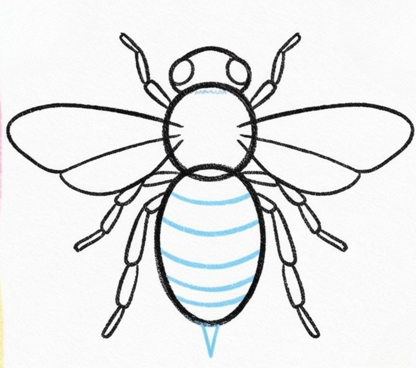 How to Draw a Realistic Bee: Step-by-Step Honey Bee Sketch